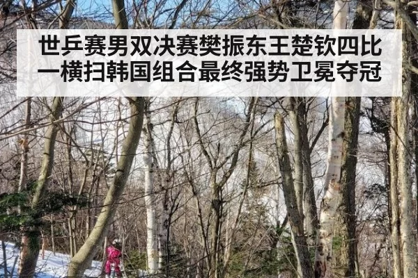 世乒赛男双决赛樊振东王楚钦四比一横扫韩国组合最终强势卫冕夺冠