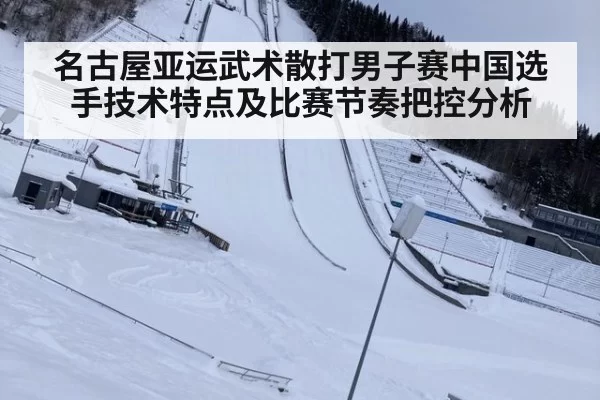 名古屋亚运武术散打男子赛中国选手技术特点及比赛节奏把控分析